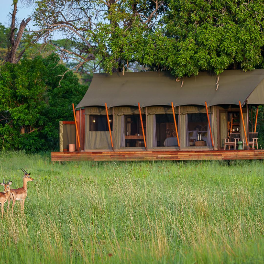 A Karangoma tent on the floodplain of the Northern Okavango Delta