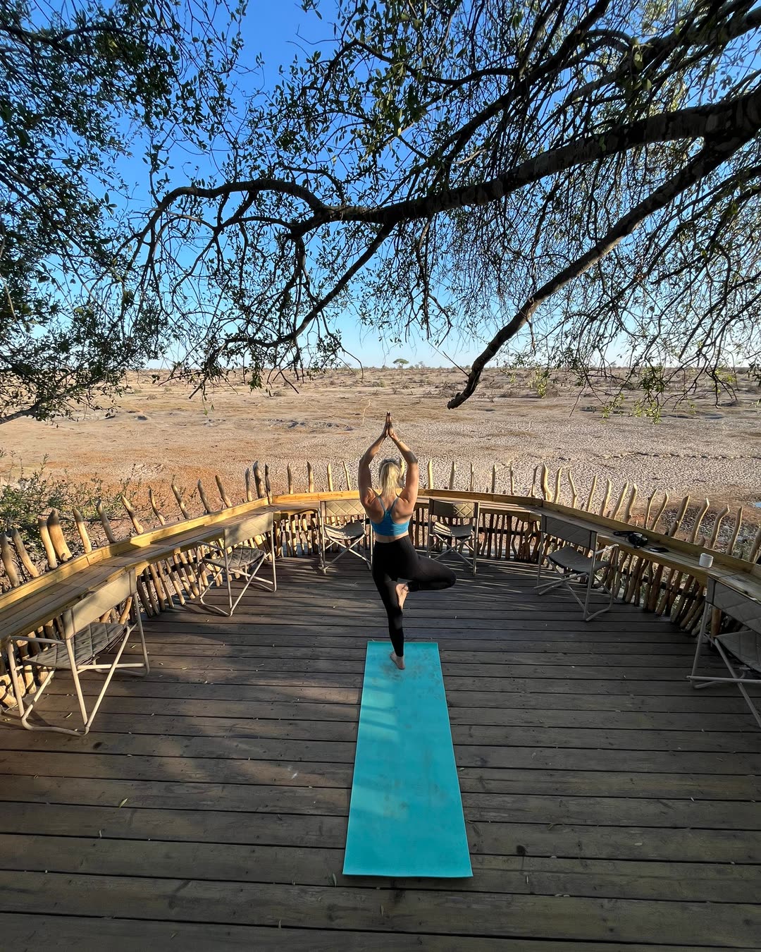 Morning tree pose on the Moela deck, under the branches, facing the dry riverbed